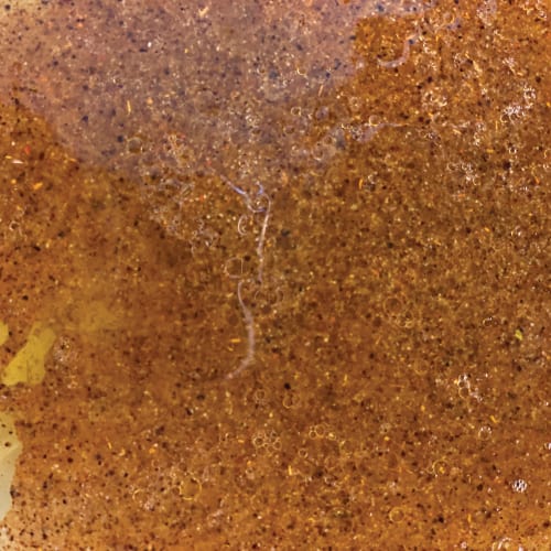 South American Marinade