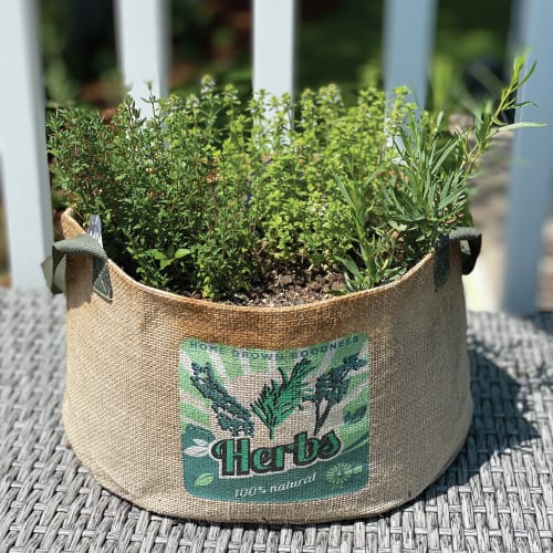 Fresh Herbs